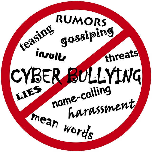 Cyber Bullying: A growing concern for high school teens