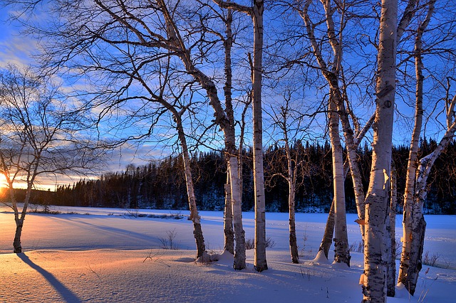 3 quotes Sum how different each seasons make us feel