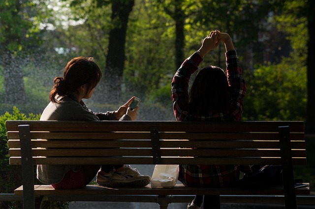 social skills, communicate, social media bench-384611_640